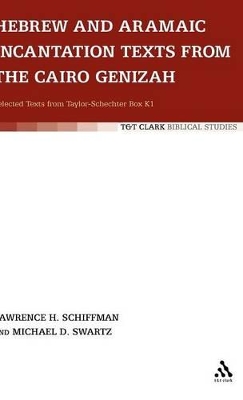 Hebrew and Aramaic Incantation Texts from the Cairo Genizah book