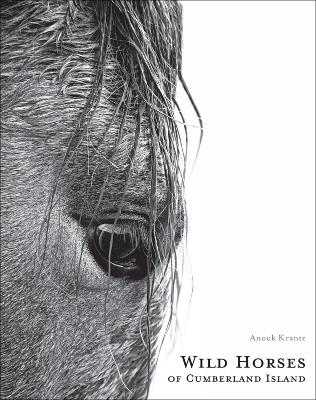 Wild Horses of Cumberland Island by Anouk Masson Krantz