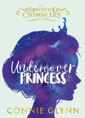 Undercover Princess book