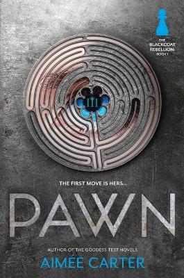 Pawn book