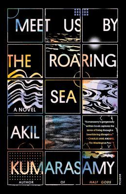 Meet Us by the Roaring Sea book