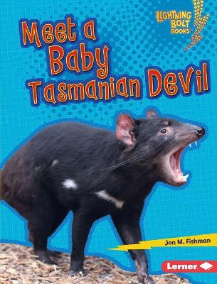 Meet a Baby Tasmanian Devil book