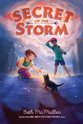 Secret of the Storm book