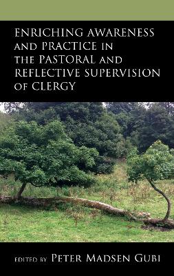 Enriching Awareness and Practice in the Pastoral and Reflective Supervision of Clergy book