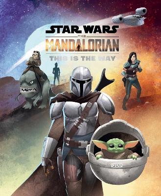 Star Wars The Mandalorian: This Is The Way book