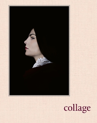 Collage: Women of the Prix Pictet Since 2008 book