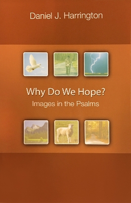 Why Do We Hope? book