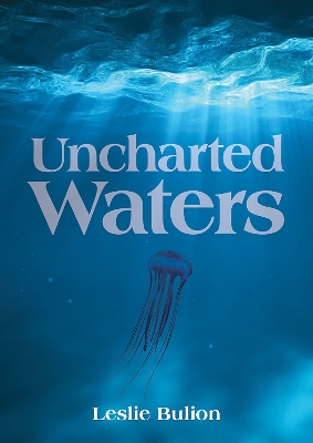 Uncharted Waters book