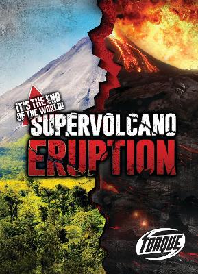 Super Volcano Eruption book