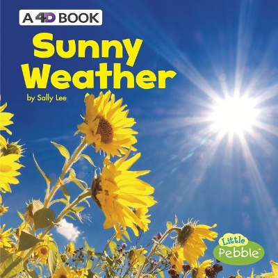 Sunny Weather book