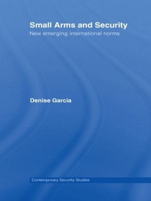 Small Arms and Security book