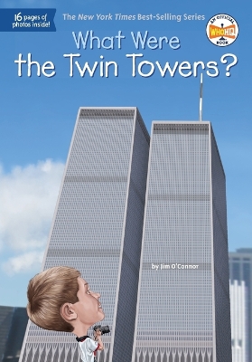 What Were the Twin Towers? book