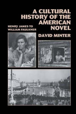 Cultural History of the American Novel, 1890-1940 book