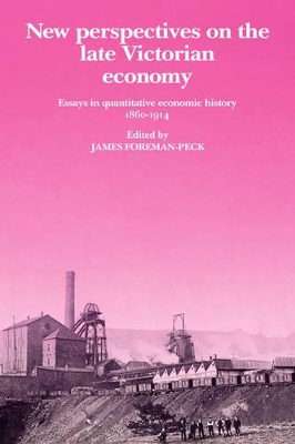 New Perspectives on the Late Victorian Economy book