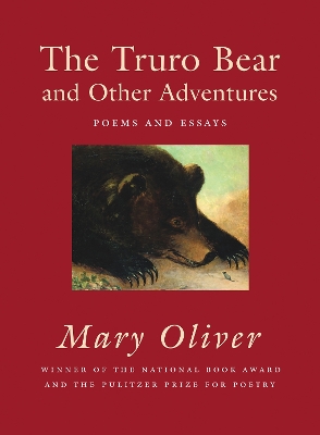 Truro Bear and Other Adventures book