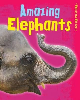 Amazing Elephants by Charlotte Guillain