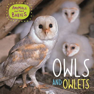 Animals and their Babies: Owls & Owlets by Annabelle Lynch
