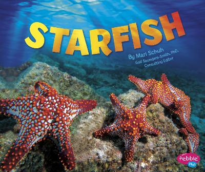 Starfish by Gail Saunders-Smith
