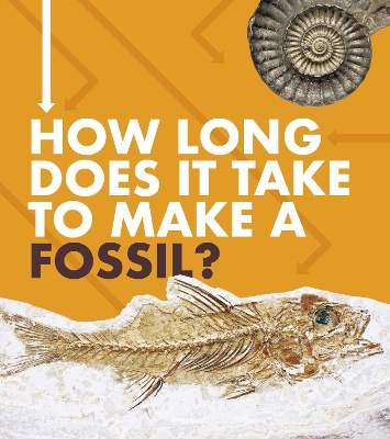 How Long Does It Take to Make a Fossil? by Emily Hudd