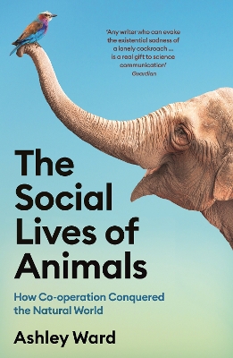 The Social Lives of Animals: How Co-operation Conquered the Natural World book
