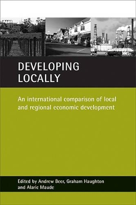 Developing locally by Andrew Beer