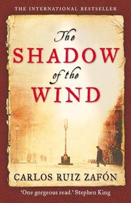 The Shadow of the Wind book
