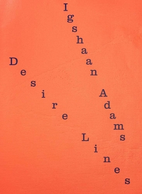 Igshaan Adams: Desire Lines book