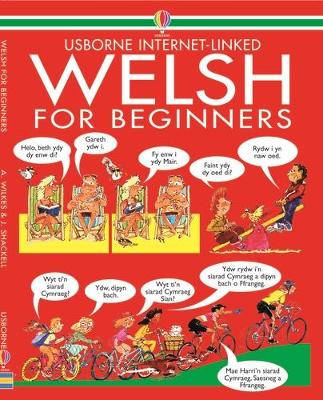 Welsh for Beginners book