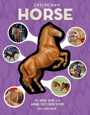 Inside Out Horse: The Inside Story on the Animal That's Born to Run! book