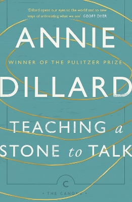 Teaching a Stone to Talk by Annie Dillard