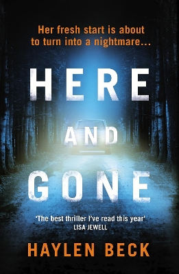 Here and Gone book