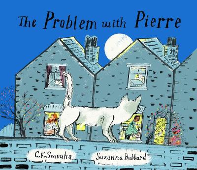 The Problem with Pierre book