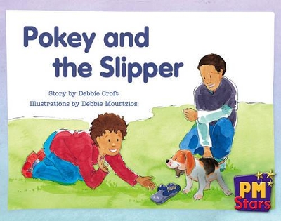 Pokey and the Slipper book