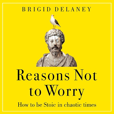 Reasons Not to Worry: How to be Stoic in chaotic times by Brigid Delaney