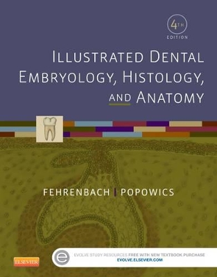 Illustrated Dental Embryology, Histology, and Anatomy by Margaret J. Fehrenbach