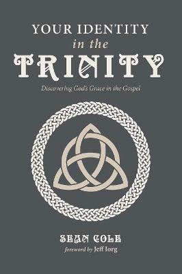 Your Identity in the Trinity book