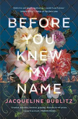 Before You Knew My Name book