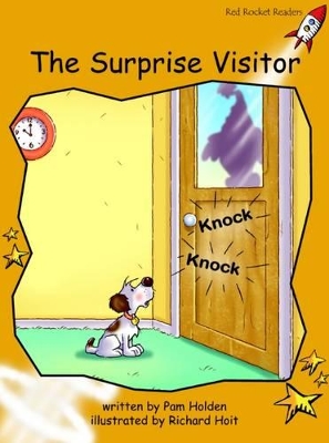 Surprise Visitor book