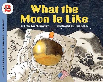 What the Moon is Like book