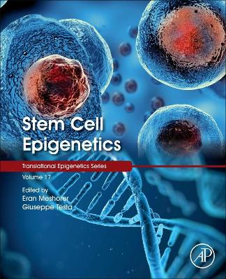 Stem Cell Epigenetics: Volume 17 book