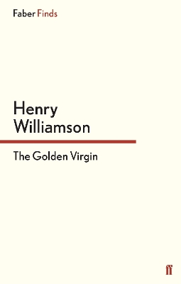 Golden Virgin book