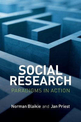 Social Research - Paradigms in Action book