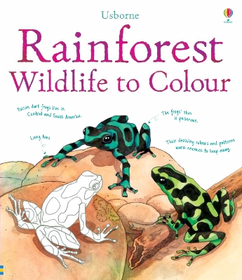 Rainforest to Colour by Susan Meredith