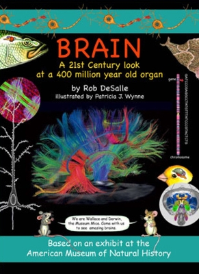 Brain book