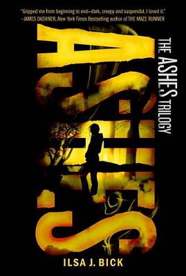 Ashes book