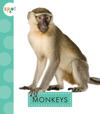 Monkeys book