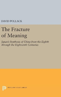 Fracture of Meaning book