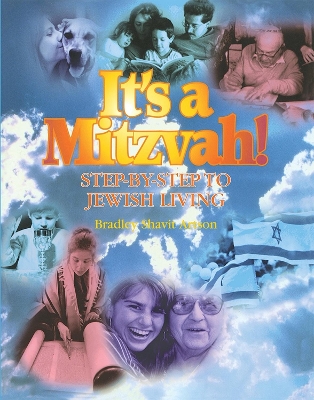 It's a Mitzvah! book