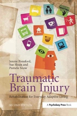 Traumatic Brain Injury book