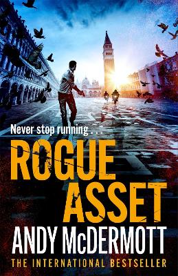 Rogue Asset book